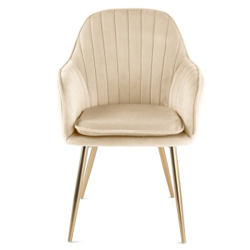 Genesis Muse Chair in Velvet Fabric -Champagne