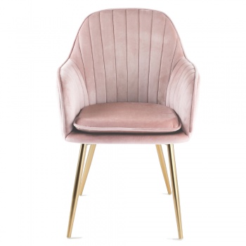 Genesis Muse Chair in Velvet Fabric - Silver Pink