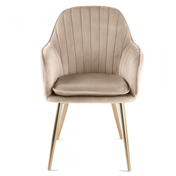 Genesis Muse Chair in Velvet Fabric - Taupe